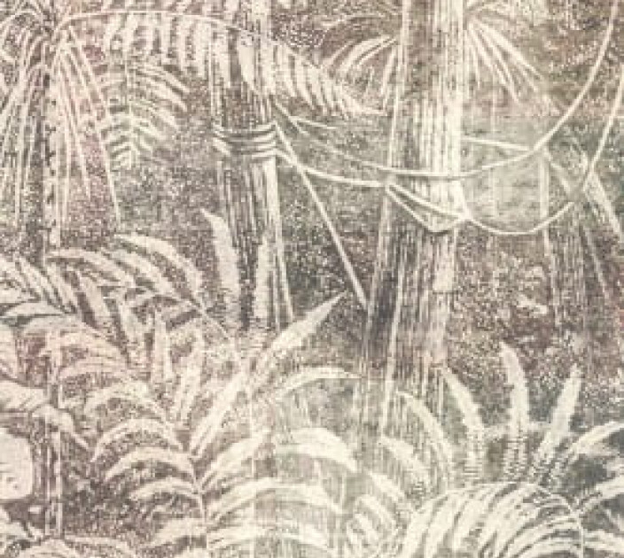 Wallpaper Khroma Cabinet Of Curiosities DGCAB1014