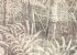 Wallpaper Khroma Cabinet Of Curiosities DGCAB1014