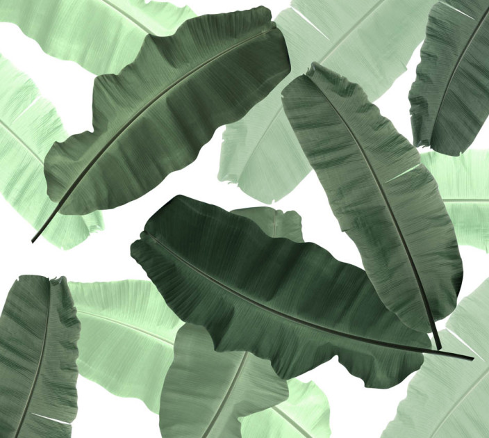 Photo wallpapers Wallstyle Leaves 5121120191