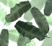 Photo wallpapers Wallstyle Leaves 5121120191
