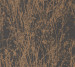Шпалери Sanderson Woodland Walk DWOW215696