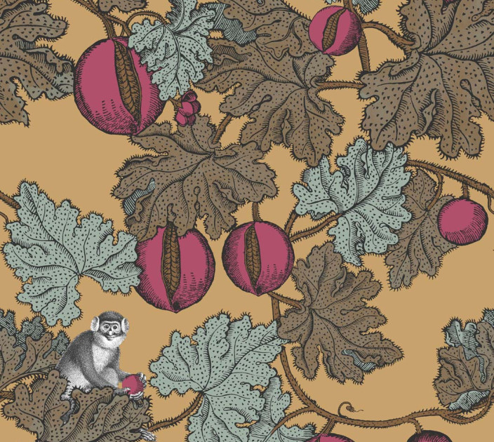 Wallpaper Cole&Son Fornasetti Senza Tempo 114-25049