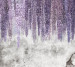 Photo wallpaper WAW Author's wallpaper workshop Gliciniya kolir a