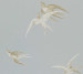 Wallpaper Sanderson One Sixty DVIWSW104