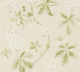 Sanderson Woodland Walk Wallpaper DWOW215707