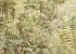Wallpaper Khroma Cabinet Of Curiosities DGCAB1022
