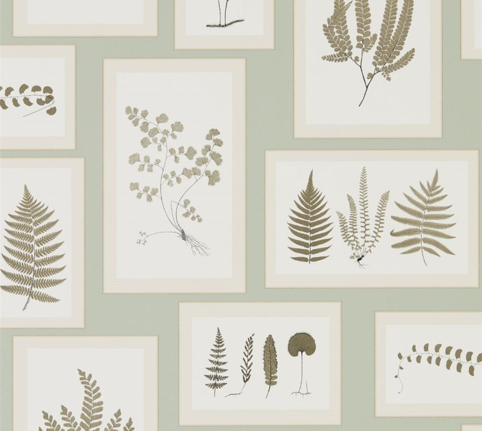 Sanderson Woodland Walk Wallpaper DWOW215715