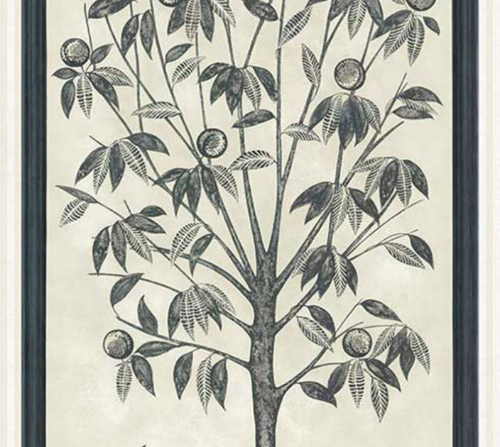 Шпалери Cole&Son Martyn Lawrence Bullard 113-14043