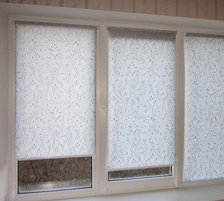 Blinds in the living room 20202137