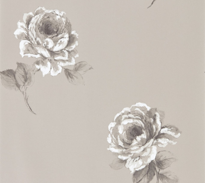 Sanderson Waterperry Wallpaper DWAP216279