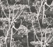 Wallpaper Cole&Son The Contemporary Collection 66-7046
