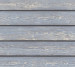 Wallpaper Rasch Salsa 2023 480535