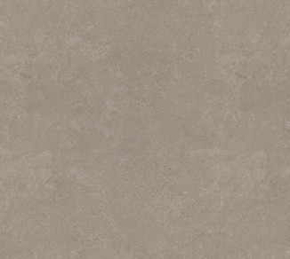 Wallpaper Rasch Metal Spirit 977141