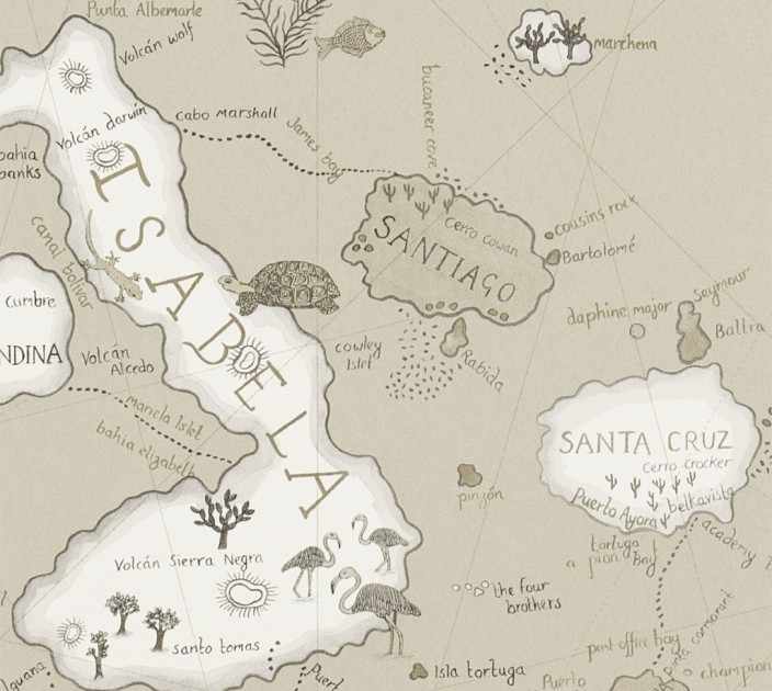 Шпалери Sanderson Voyage of Discovery DVOY213365