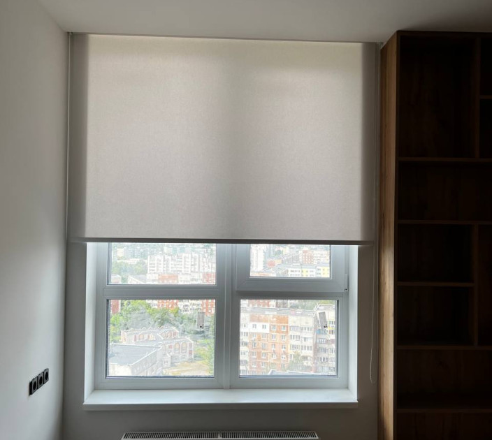 Roller blinds in the office 20202195