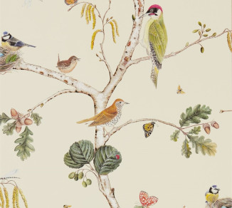 Sanderson Woodland Walk Wallpaper DWOW215703