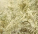Wallpaper Khroma Cabinet Of Curiosities DGCAB1023
