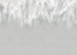 Photo wallpaper Your interior 3D White feathers 47782