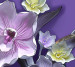 Photo wallpapers Wallstyle Porcelain flowers 6240720191-1