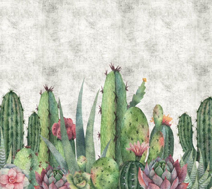 Photo wallpapers Wallstyle Cacti 5090820195-1