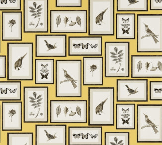 Sanderson Voyage of Discovery Wallpaper DVOY213396