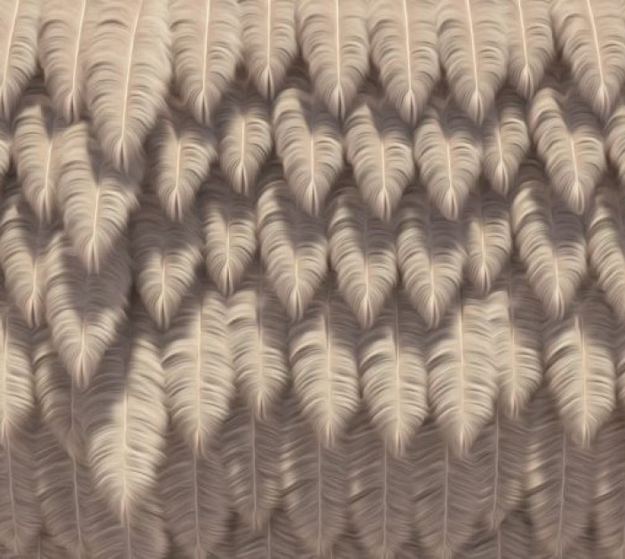 Photo wallpaper Your interior 3D Wings 21479