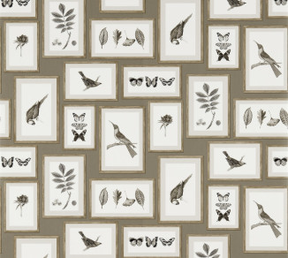 Sanderson Voyage of Discovery Wallpaper DVOY213397