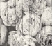 Photo wallpapers Wallstyle Peonies on boards 291020188-4