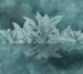 Photo wallpapers Wallstyle Leaves 5300920193-1