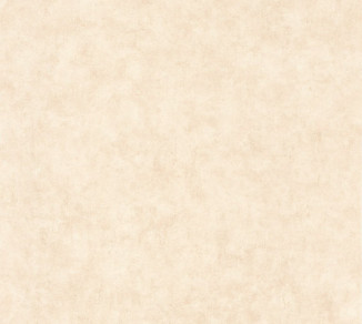 Wallpaper Caselio Beton 2 101481123
