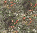 Шпалери Cole&Son Botanical Botanica 115-4011