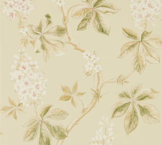 Sanderson Woodland Walk Wallpaper DWOW215709