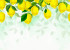 Photo wallpaper Your interior 3D Lemons 21190