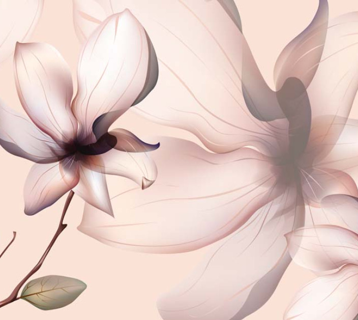 Wallstyle photo wallpaper Magnolia 35085