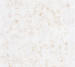 Шпалери Caselio Beton 2 101490020