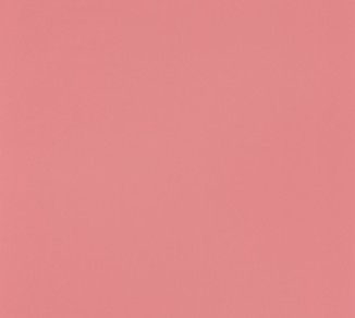 Wallpaper Casadeco Rose&Nino RONI82913401