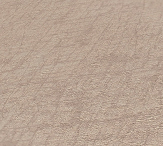 Wallpaper AS Creation Amber 39596-5