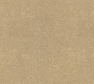 Wallpaper Rasch Metal Spirit 977165