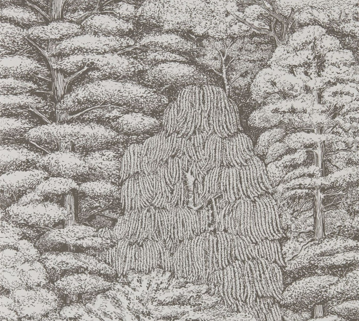 Sanderson Woodland Walk Wallpaper DWOW215716