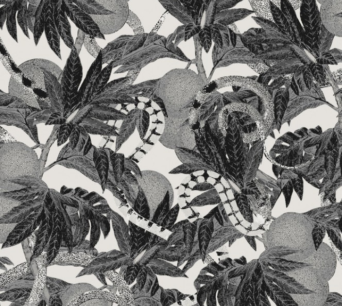 Wallpaper Khroma Cabinet Of Curiosities CAB202