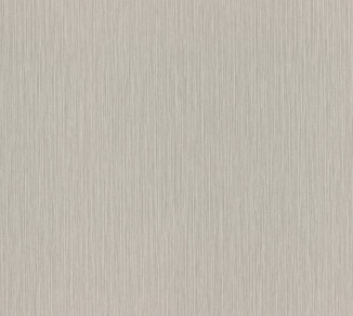 Wallpaper Rasch Metal Spirit 977257
