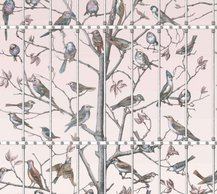 Шпалери Cole&Son Fornasetti Senza Tempo 114-11022