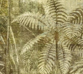 Wallpaper Khroma Cabinet Of Curiosities DGCAB1021