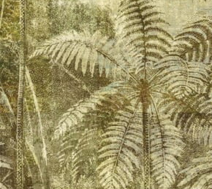 Wallpaper Khroma Cabinet Of Curiosities DGCAB1021