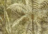 Wallpaper Khroma Cabinet Of Curiosities DGCAB1021