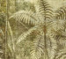Wallpaper Khroma Cabinet Of Curiosities DGCAB1021