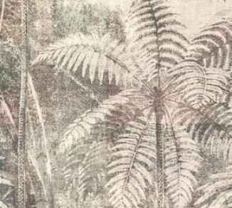 Wallpaper Khroma Cabinet Of Curiosities DGCAB1011