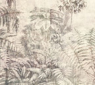 Wallpaper Khroma Cabinet Of Curiosities DGCAB1012