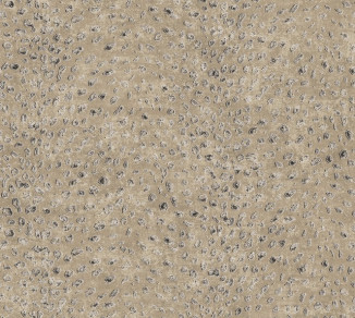 Wallpaper Khroma Cabinet Of Curiosities CAB801