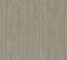 Sanderson Woodland Walk Wallpaper DWOW215692